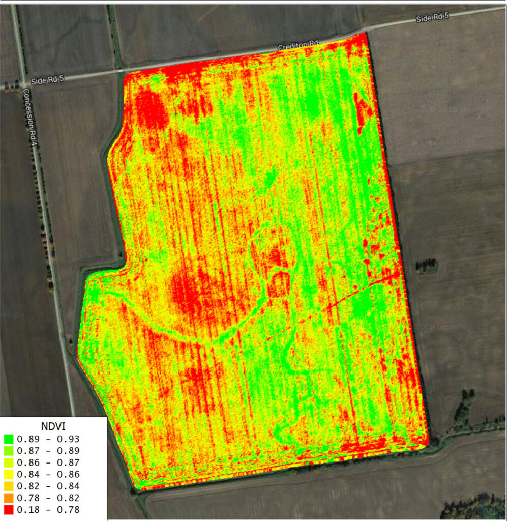 Drone Mapping and Crop Analysis